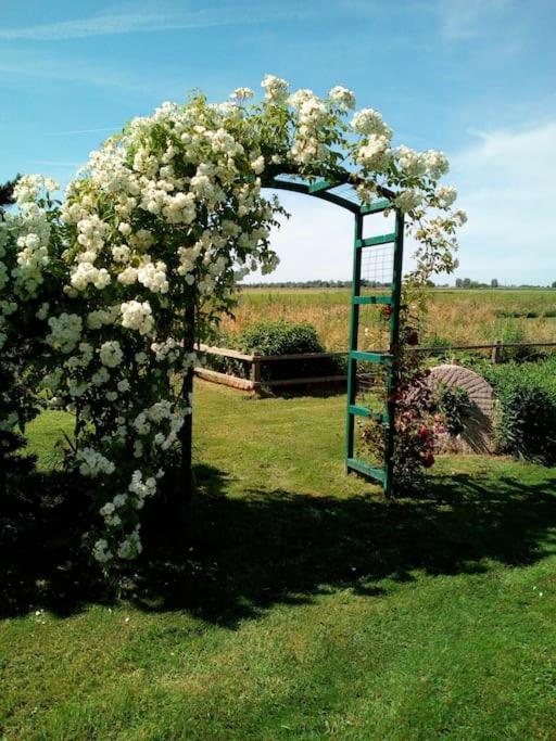 Ferienhaus Rosengarten Loxstedt Ngoại thất bức ảnh